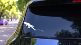 Lizard Gecko Walking Away Sticker on a Rear Car Window (New) example