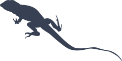 Lizard Gecko Walking Away Sticker