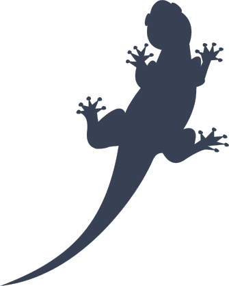 Lizard Gecko With Long Pointy Tail Sticker
