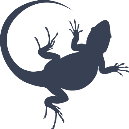 Lizard Gecko With Long Toes Sticker