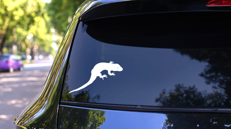 Lizard Gecko With Sharp Claws Sticker on a Rear Car Window (New) example