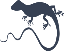 Lizard Gecko With Sharp Toes Sticker