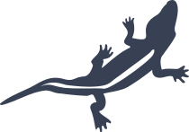 Lizard Gecko With Stripe Sticker