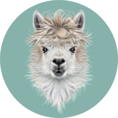 Llama Animal Portrait On Blue Sticker