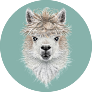 Llama Animal Portrait On Blue Sticker