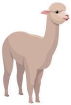 Llama Cartoon Sticker