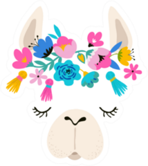 Llama Head Illustration, Cute Hand Drawn Elements Sticker