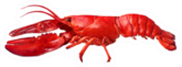 Lobster Side View Sticker