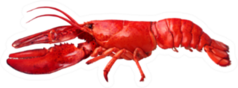 Lobster Side View Sticker