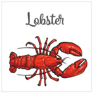 Lobster Sketch Style With Lettering Sticker