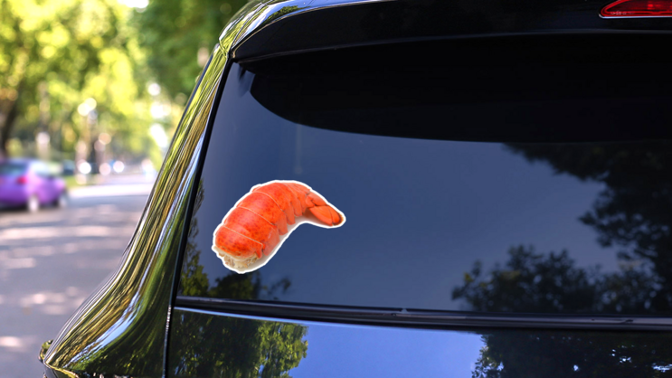 Lobster Tail Isolated On White Sticker on a Rear Car Window (New) example