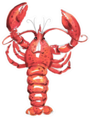 Lobster, Watercolor Illustration Sticker