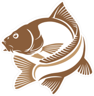 Logo Carp Fish Sticker