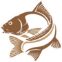 Logo Carp Fish Sticker