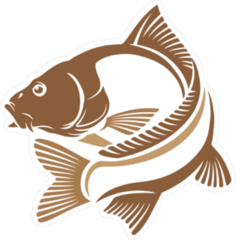 Logo Carp Fish Sticker