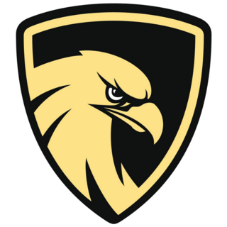 Logo Hawk Shield Sticker