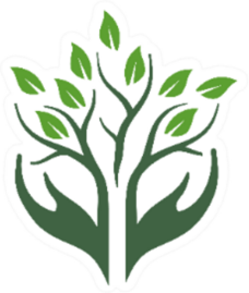 Logo Tree Oak For Forest Landscaping Sticker