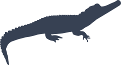 Long Alligator Crocodile Sticker
