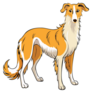 Long Hair Saluki Sticker