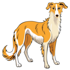 Long Hair Saluki Sticker