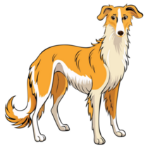 Long Hair Saluki Sticker