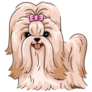 Long Hair Shih Tzu Sticker