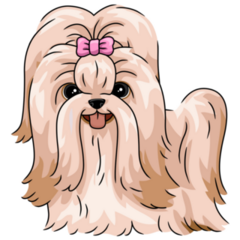Long Hair Shih Tzu Sticker