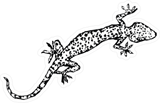 Long Illustration Of A Gecko Sticker