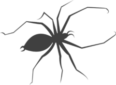 Long Leg Spider Silhouette Sticker