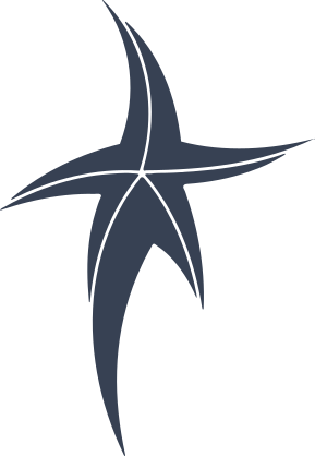 Long Leg Starfish Sticker