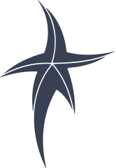 Long Leg Starfish Sticker