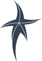 Long Leg Starfish Sticker