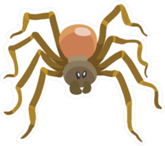 Long Legged Brown Spider Sticker