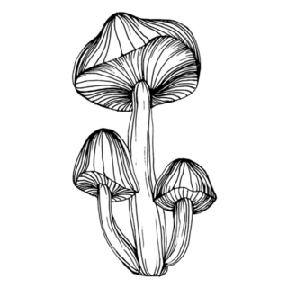 Long Mushroom Illustration Sketch Sticker