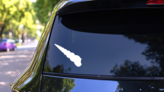 Long Skinny Seashell Sticker on a Rear Car Window (New) example