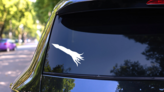 Long Skinny Squid Sticker on a Rear Car Window (New) example