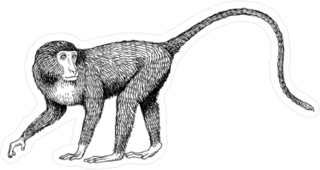 Long Tail Monkey Sticker