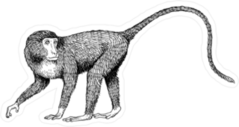 Long Tail Monkey Sticker
