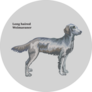 Longhair Weimaraner Sticker