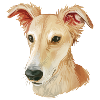 Longhaired Whippet Sticker