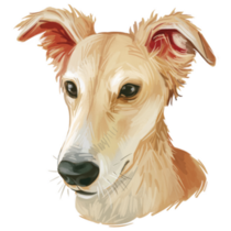 Longhaired Whippet Sticker