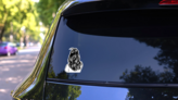 Loose Curly Long Black Hair Illustration Sticker on a Rear Car Window (New) example
