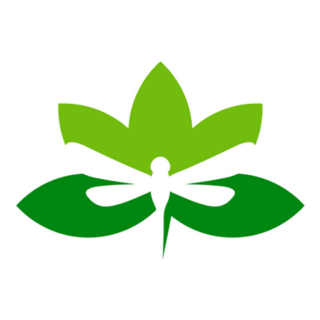 Lotus Leaf Dragonfly Sticker