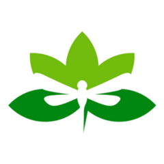 Lotus Leaf Dragonfly Sticker