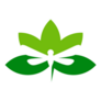 Lotus Leaf Dragonfly Sticker