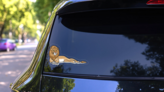 Lounging Lion Mascot Sticker on a Rear Car Window (New) example