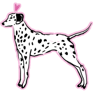 Love Heart Dalmatian Sticker