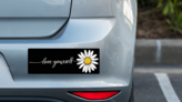 Love Yourself Daisy Bumper Sticker on a Grey Car Bumper example