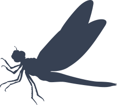 Loveable Dragonfly Sticker