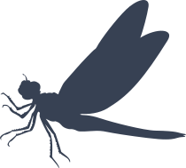 Loveable Dragonfly Sticker